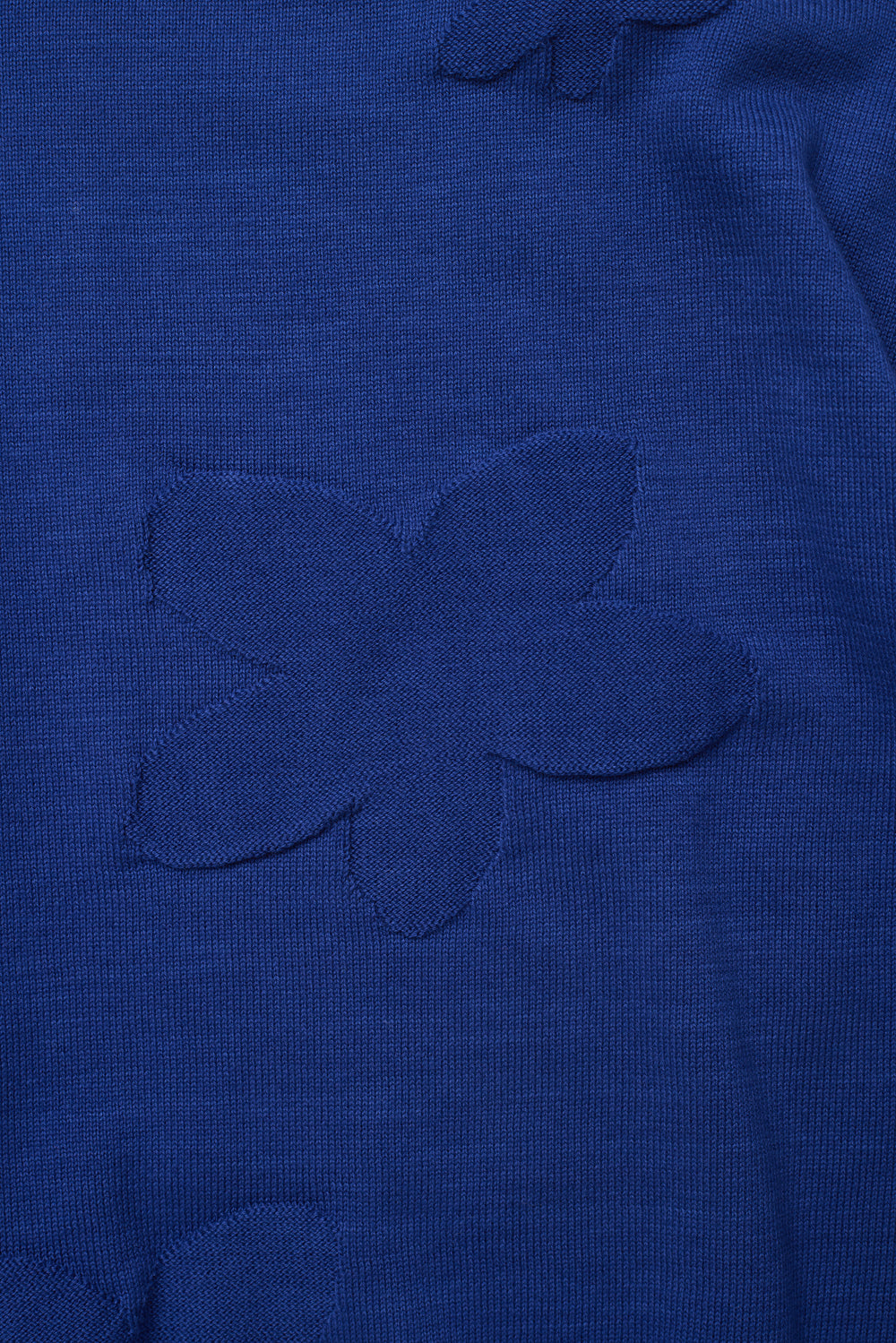 Hatchingroom - Floral Jacquard Knit V2 (Royal Blue) product image 5 | TRAB K-Fashion Australia