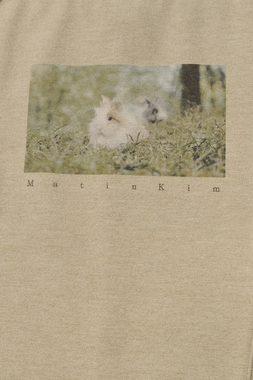 Matin Kim - Rabbit Printing Raglan Slim Top (Beige) product image 3 | TRAB K-Fashion Australia