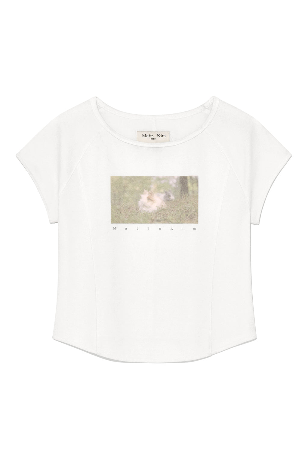 Matin Kim - Rabbit Printing Raglan Slim Top (White) product image 1 | TRAB K-Fashion Australia