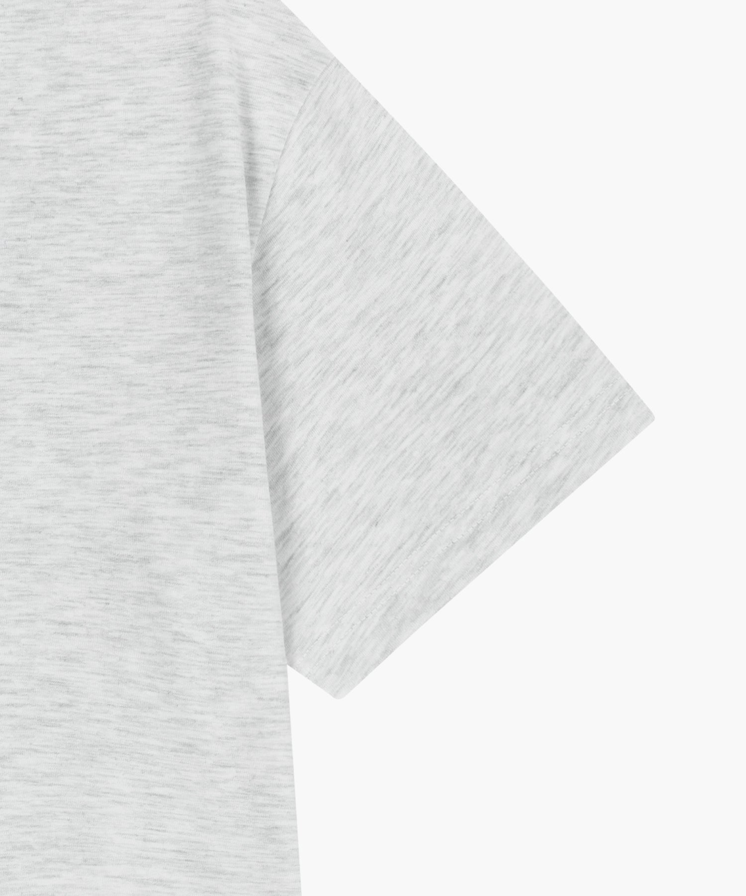 Marithe & Francois Girbaud - Aerocool Lemon Classic Logo Tee (Light Heather Gray) product image 10 | TRAB K-Fashion Australia