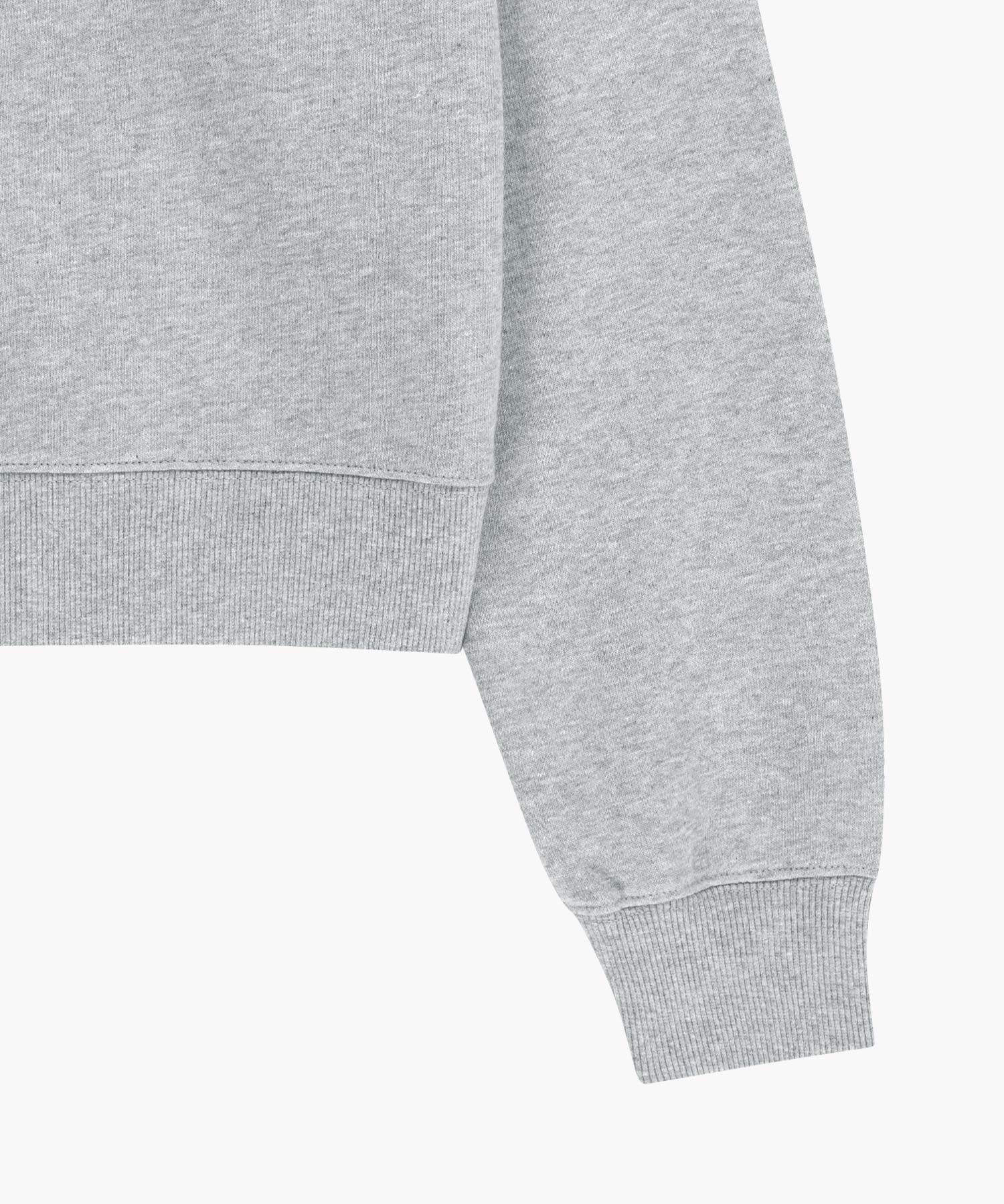 Marithe & Francois Girbaud - Small Classic Logo Half Zipup Crop Sweatshirt (Heather Gray) product image 11 | TRAB K-Fashion Australia