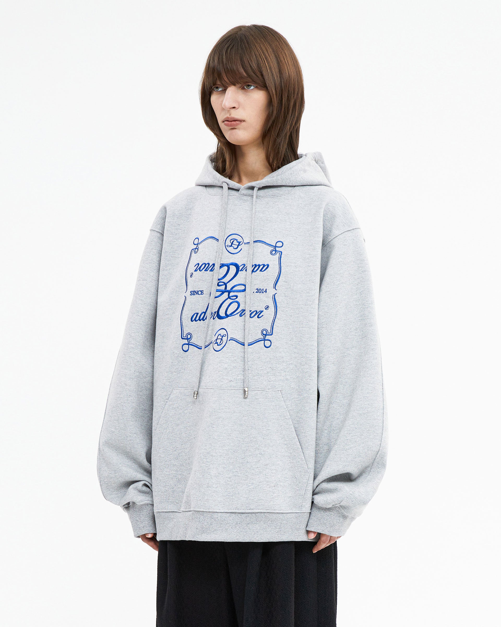 Ader Error - Decal logo hoodie (Grey) product image 3 | TRAB K-Fashion Australia