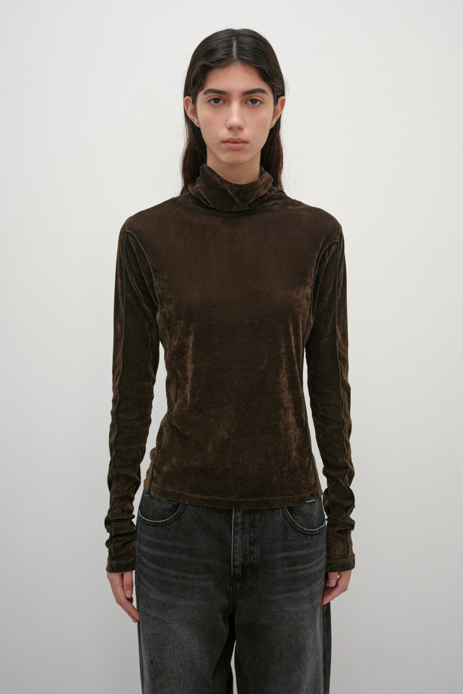 Insilence - Velvet Mesh Turtleneck T-Shirt (Brown) product image 1 | TRAB K-Fashion Australia
