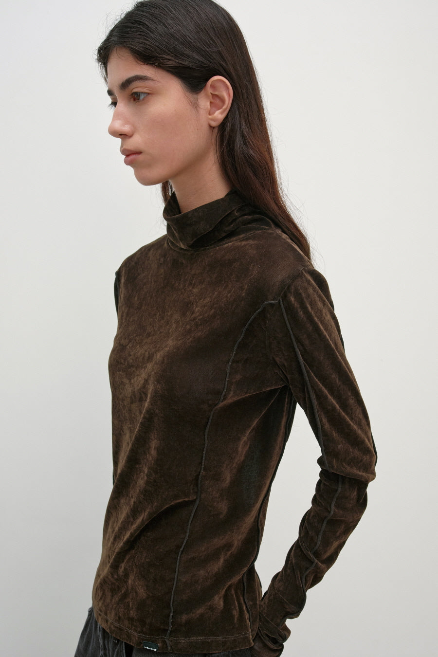 Insilence - Velvet Mesh Turtleneck T-Shirt (Brown) product image 2 | TRAB K-Fashion Australia