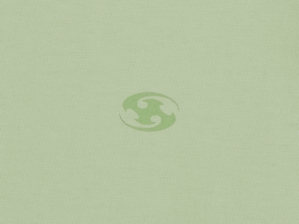 San San Gear - Logo T-Shirt (Light Green) product image 8 | TRAB K-Fashion Australia