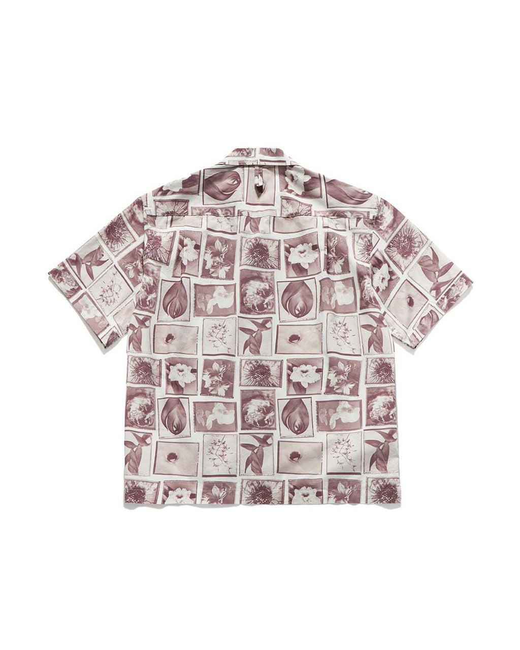 Eastlogue - Photograph Half Shirts (Rose) product image 6 | TRAB K-Fashion Australia