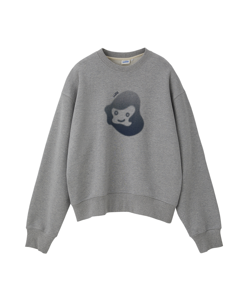 Llege - Jubangwol Heavy Cotton Sweatshirt (Grey) product image 1 | TRAB K-Fashion Australia