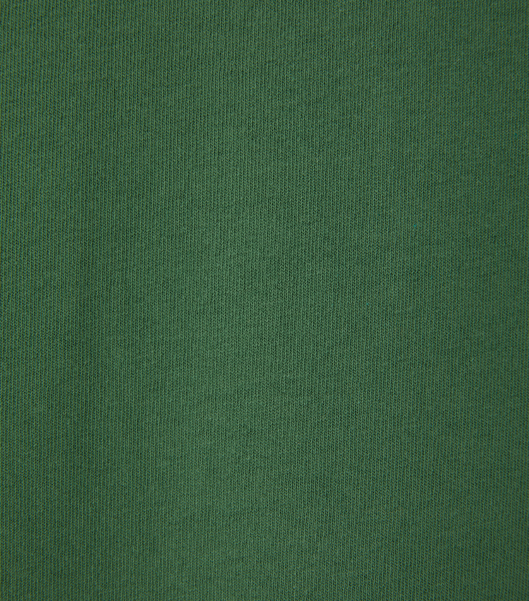 Llege - Llege Logo Ringer T-Shirt (Green) product image 5 | TRAB K-Fashion Australia