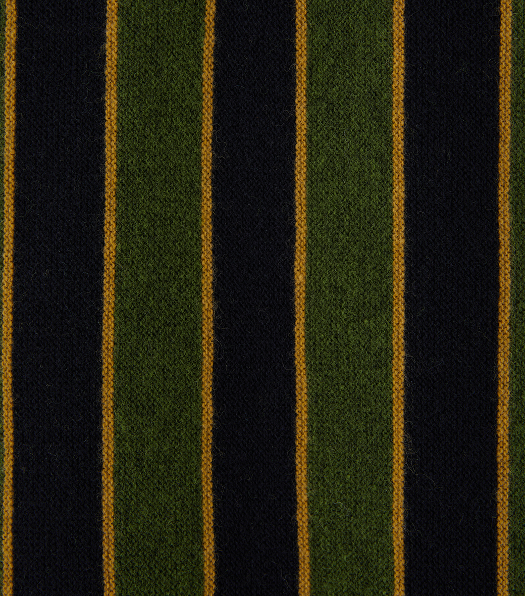 Llege - Vertical Stripe Polo Knit (Green) product image 5 | TRAB K-Fashion Australia