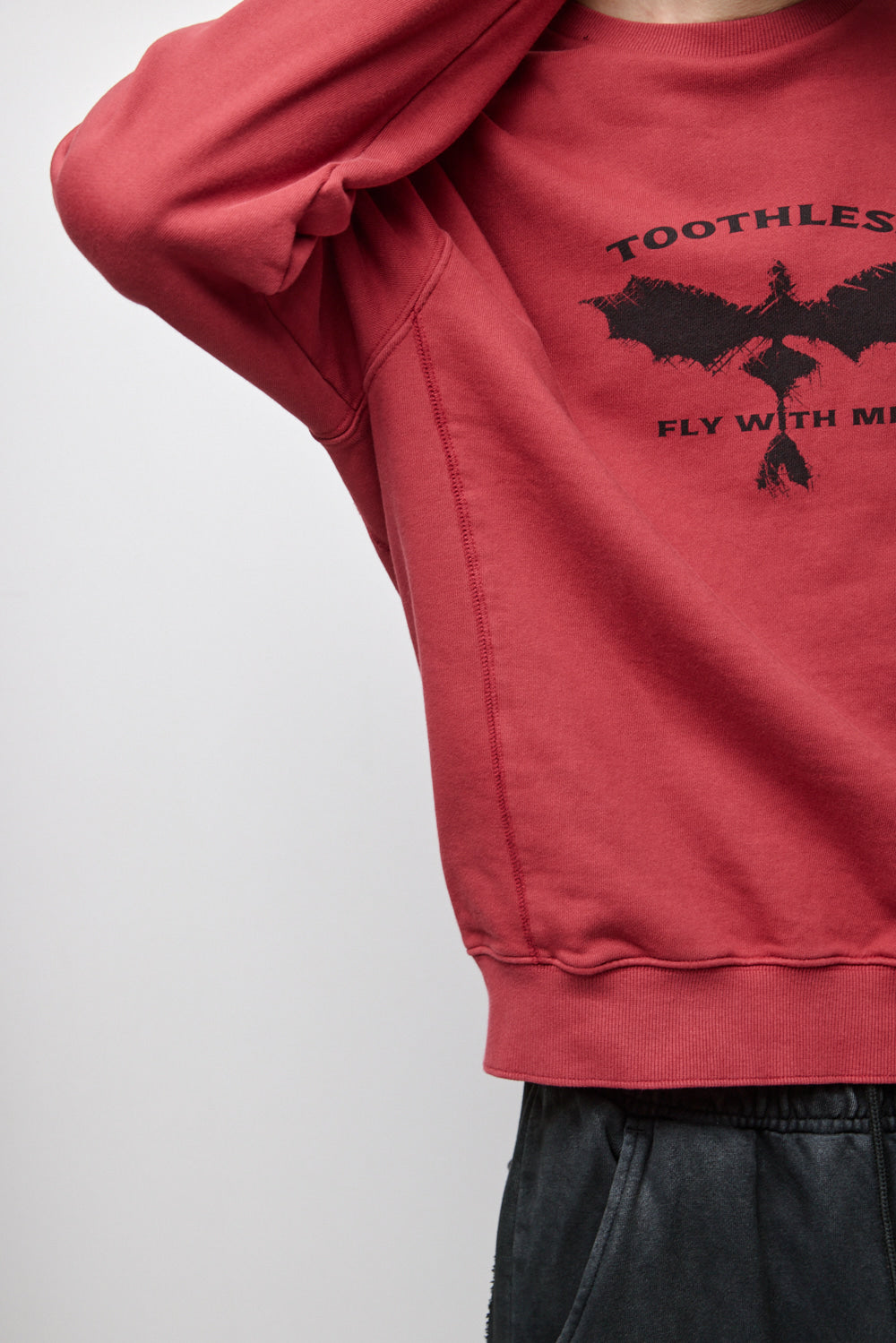 Hatchingroom - Toothless Sweatshirt Dark (Red) product image 13 | TRAB K-Fashion Australia