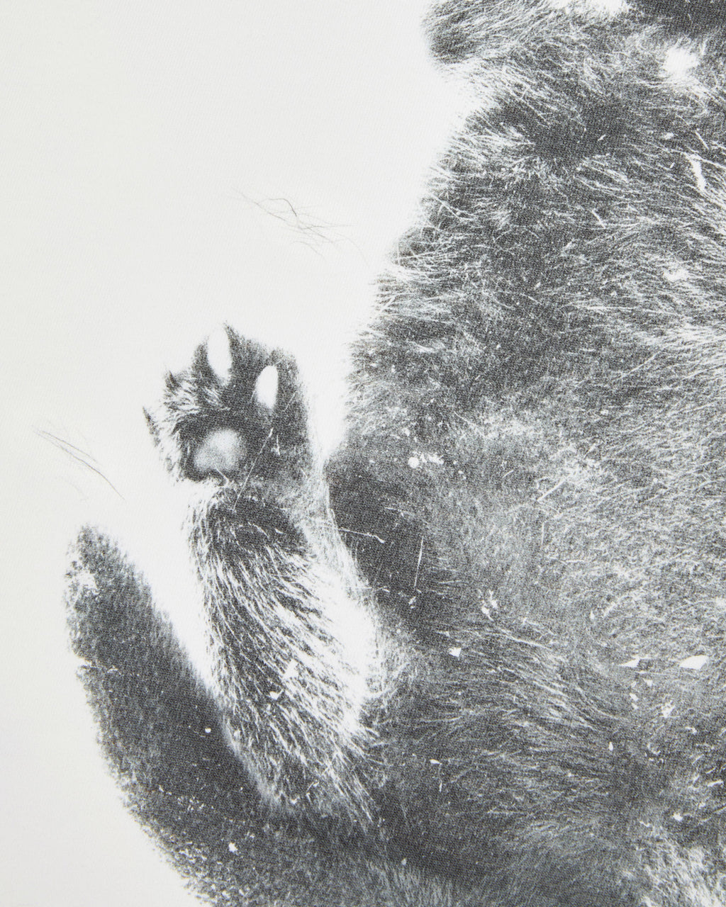 Ader Error - Blue cat t-shirt 02 (Off White) product image 10 | TRAB K-Fashion Australia