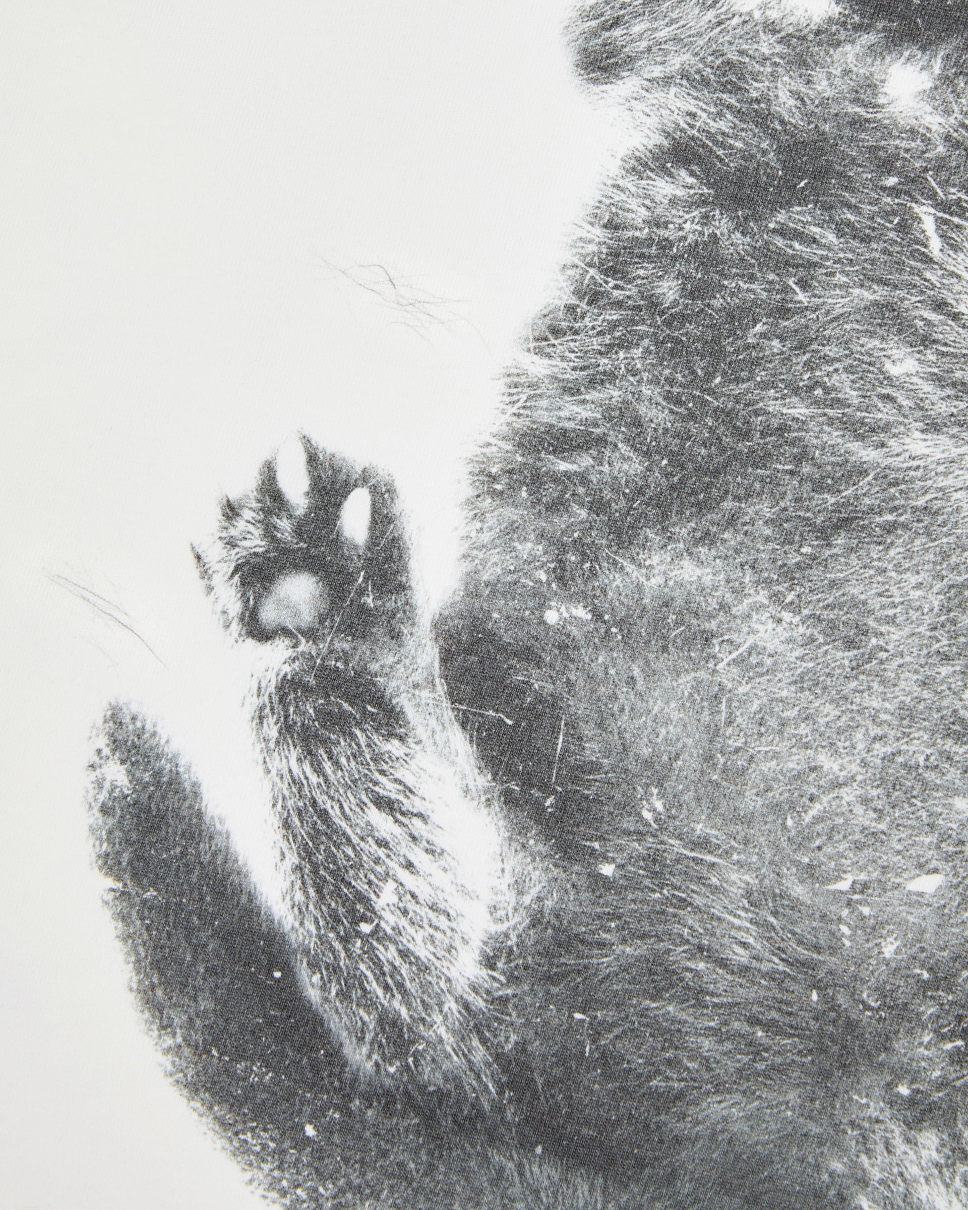 Ader Error - Blue cat t-shirt 02 (Off White) product image 10 | TRAB K-Fashion Australia