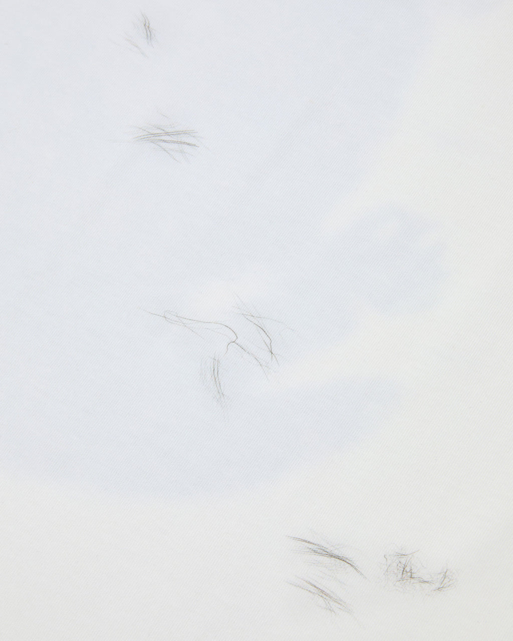 Ader Error - Blue cat t-shirt 02 (Off White) product image 13 | TRAB K-Fashion Australia