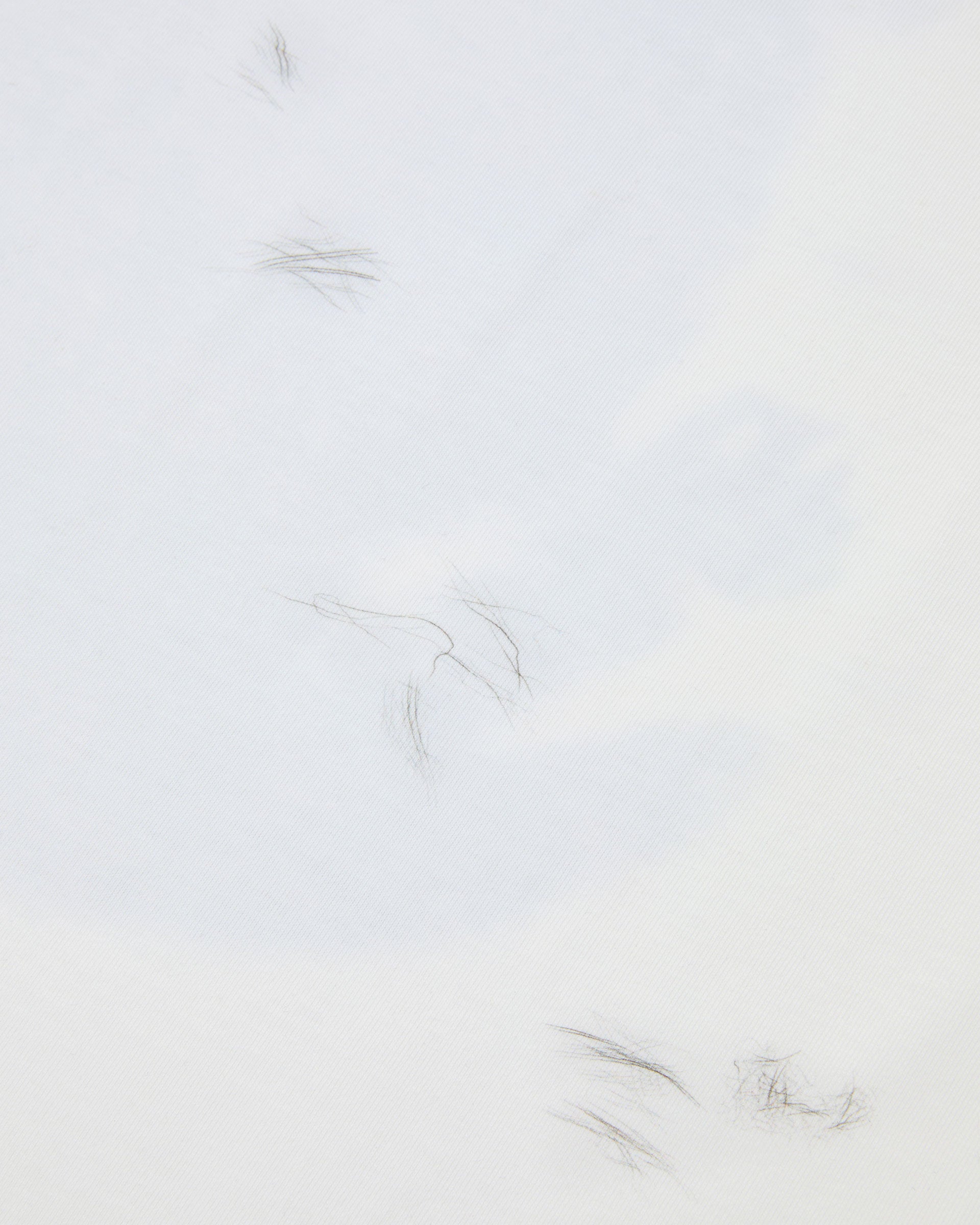 Ader Error - Blue cat t-shirt 02 (Off White) product image 13 | TRAB K-Fashion Australia