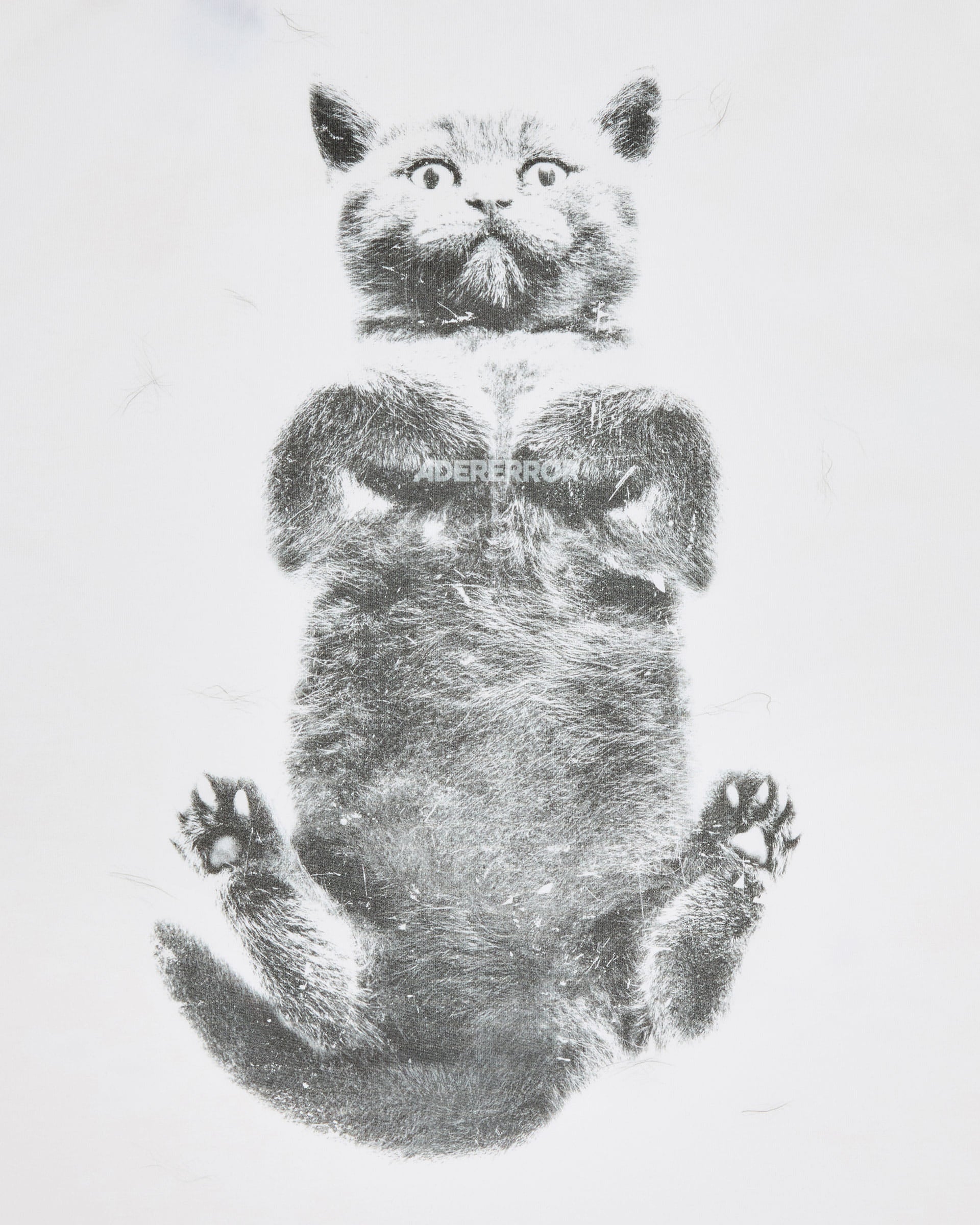 Ader Error - Blue cat t-shirt 02 (Off White) product image 9 | TRAB K-Fashion Australia