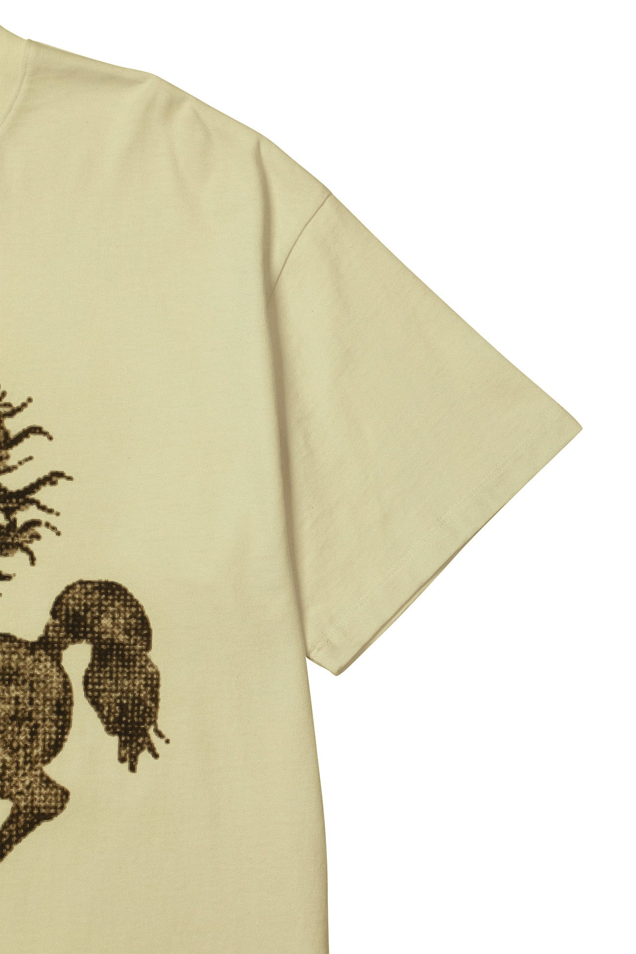 Deinet - Horse Graphic T-Shirt (Beige) product image 5 | TRAB K-Fashion Australia