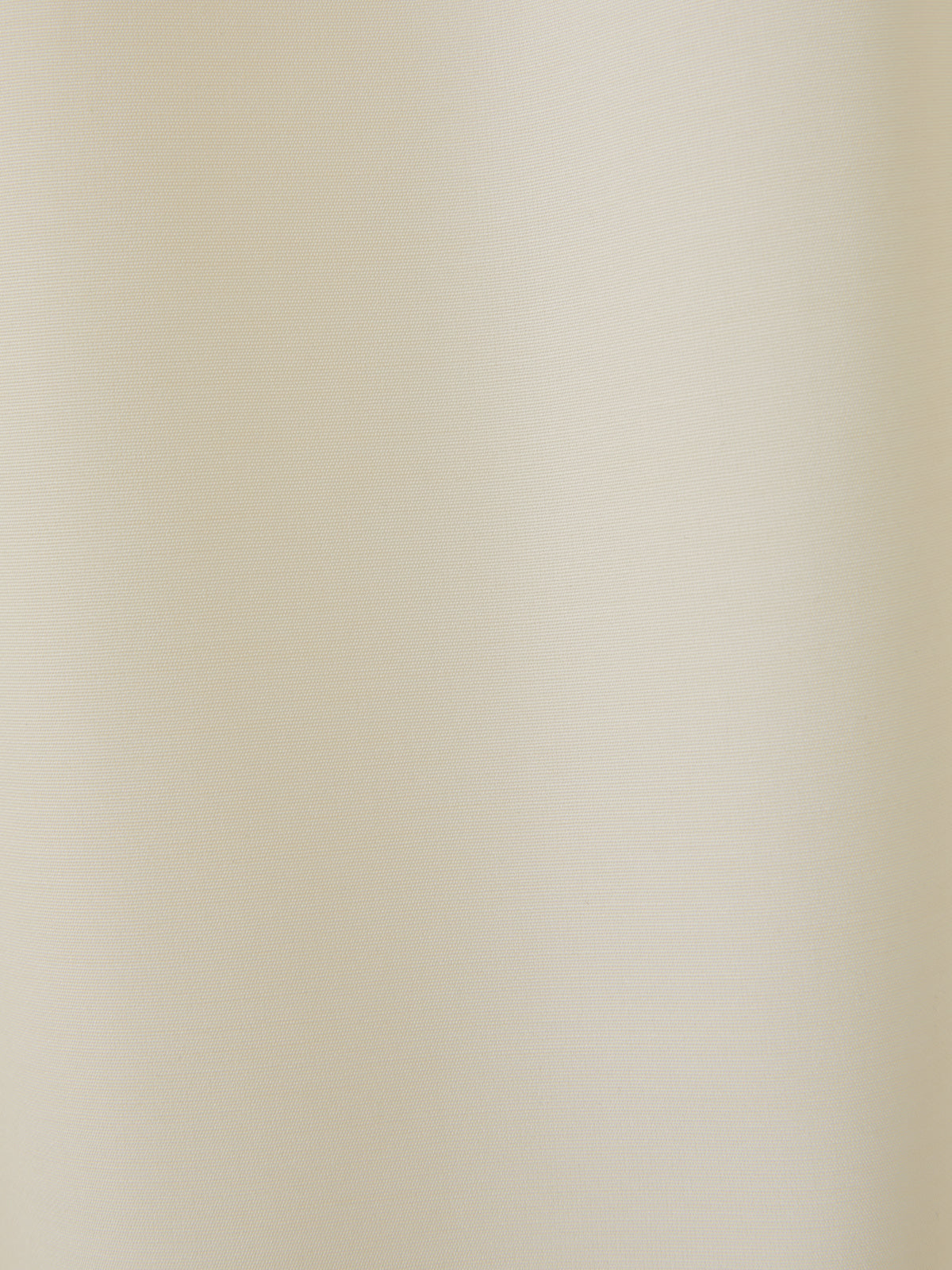 Recto - Banding Jogger Suit Pants (Ivory) product image 10 | TRAB K-Fashion Australia