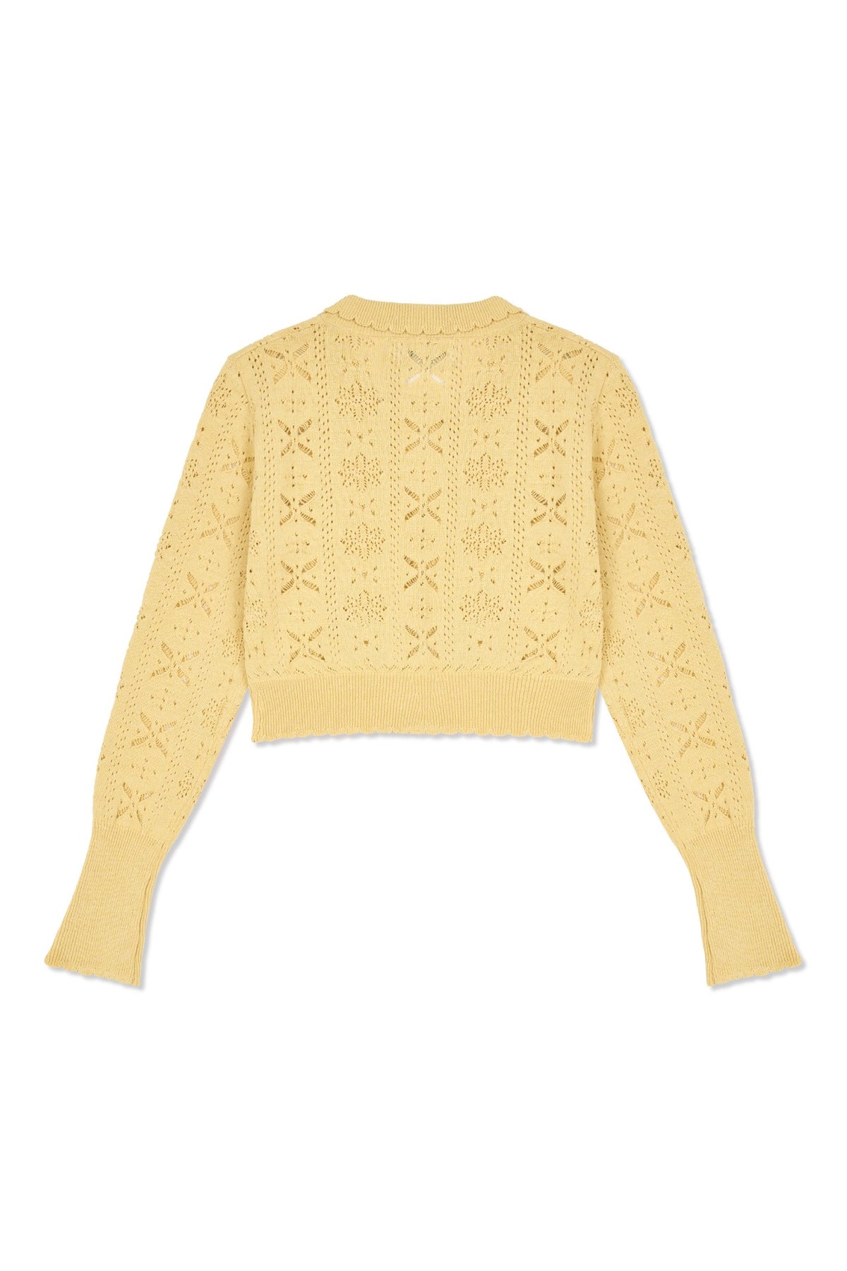 Ioedle - Flower Bomb Knit Cardigan (Yellow) product image 4 | TRAB K-Fashion Australia