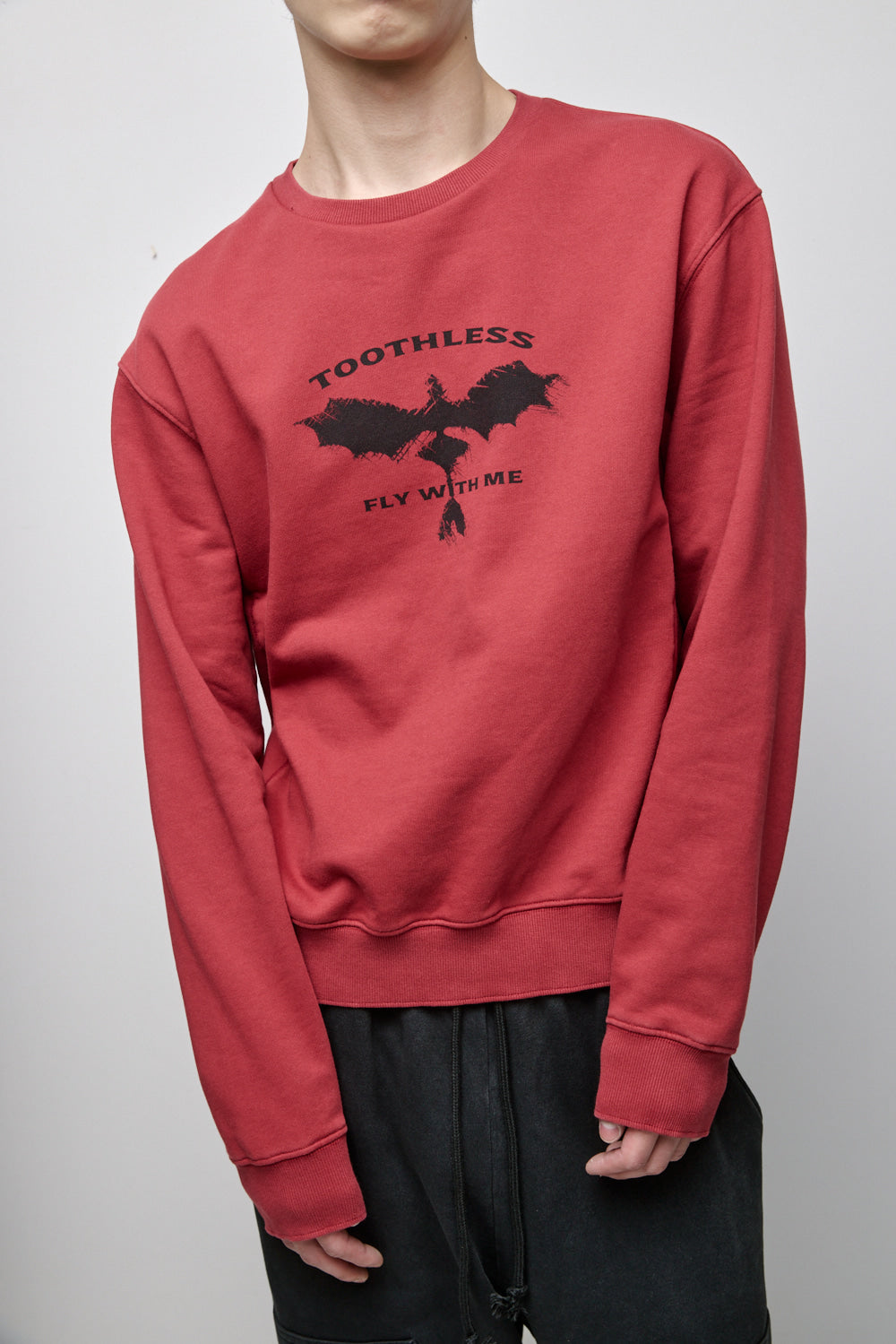 Hatchingroom - Toothless Sweatshirt Dark (Red) product image 12 | TRAB K-Fashion Australia