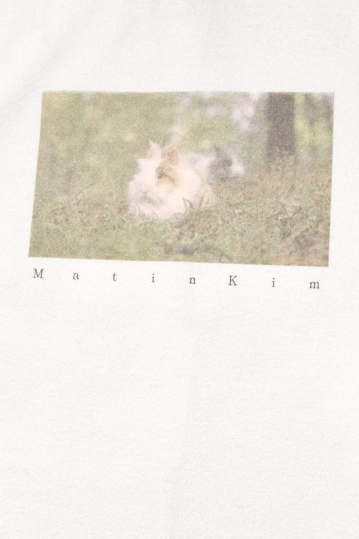 Matin Kim - Rabbit Printing Raglan Slim Top (White) product image 3 | TRAB K-Fashion Australia