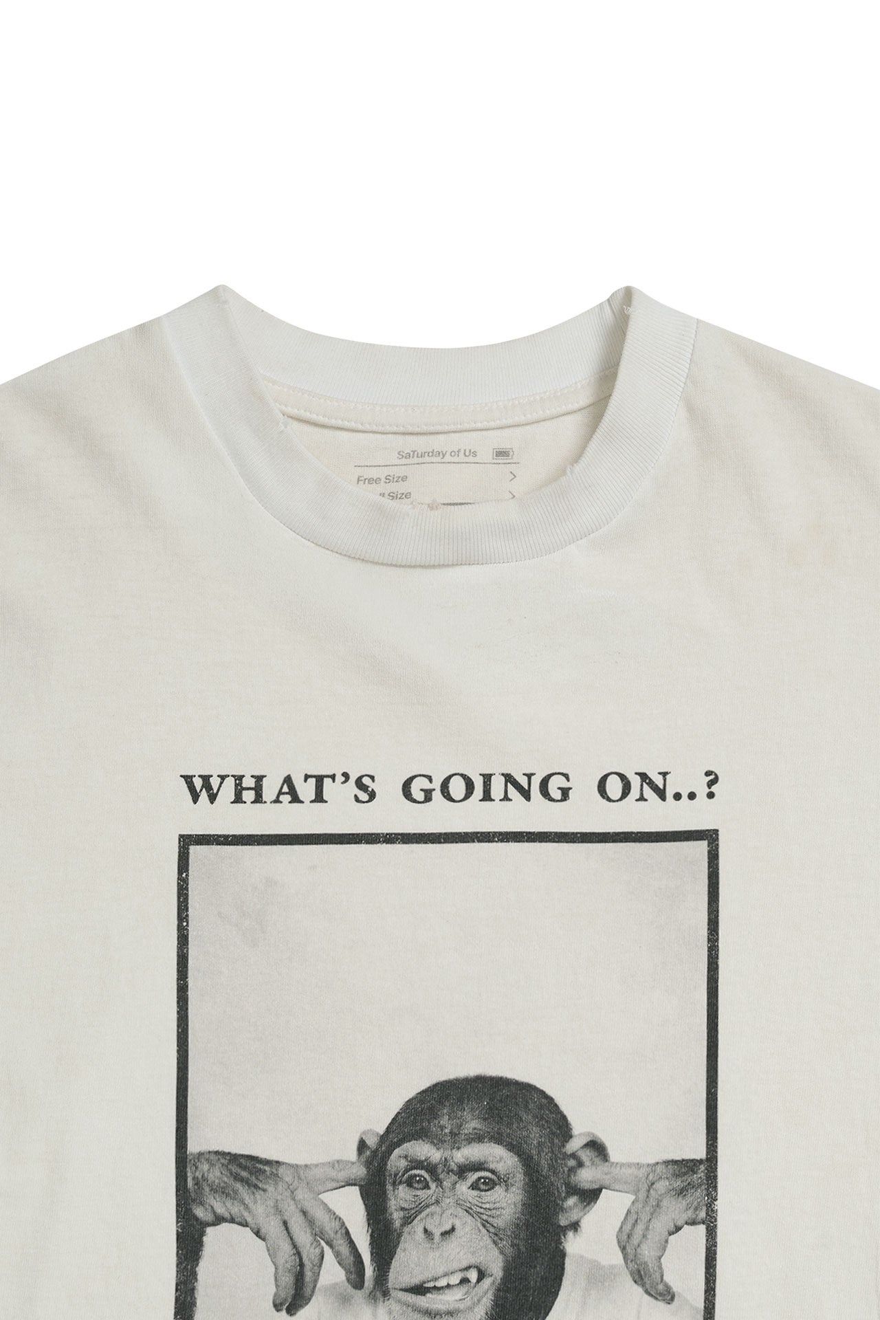 STU - Monkey T-shirt (Ivory) product image 13 | TRAB K-Fashion Australia