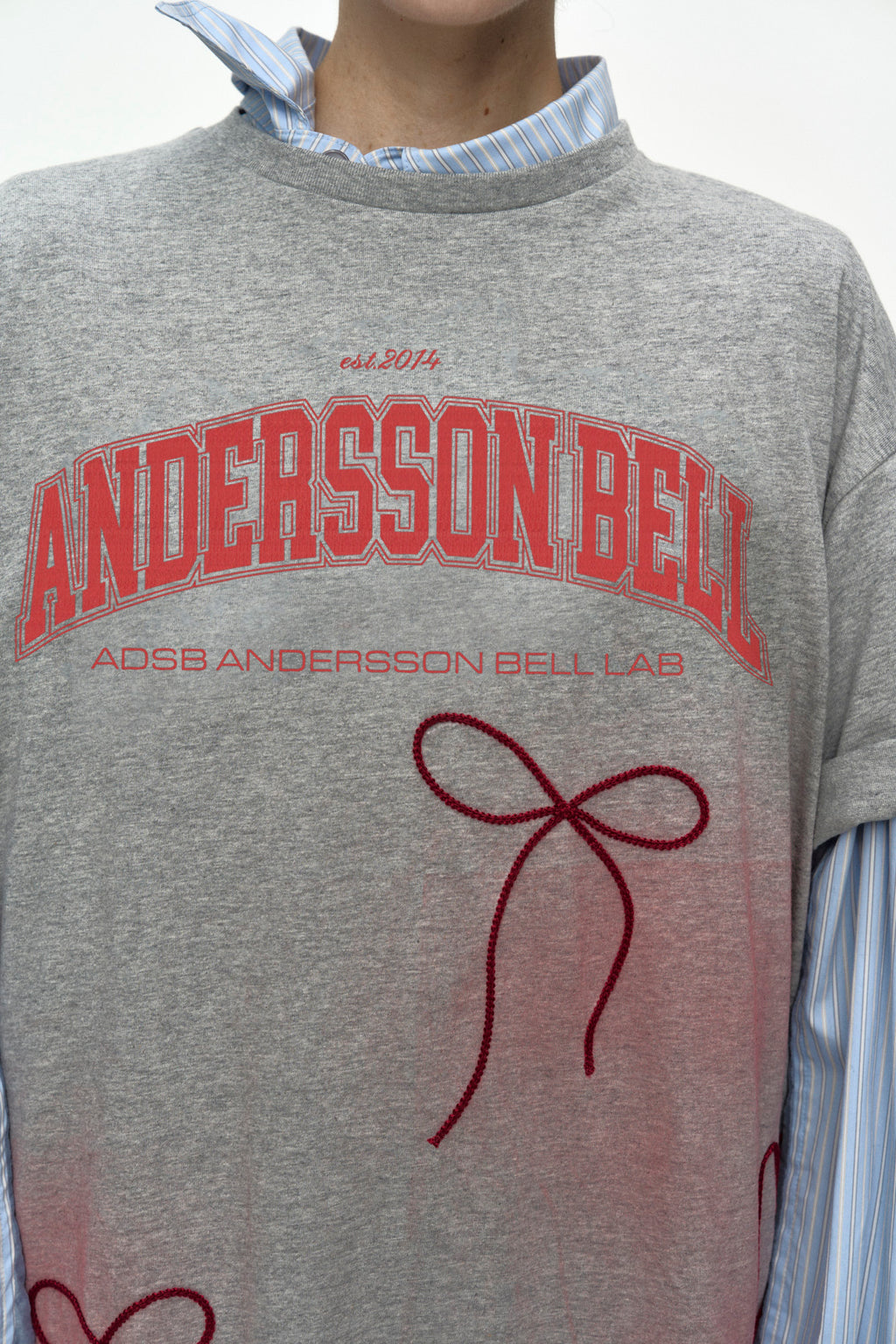 Andersson Bell - Ribbon Embroidery Spray T-Shirt (Melange Grey) product image 6 | TRAB K-Fashion Australia