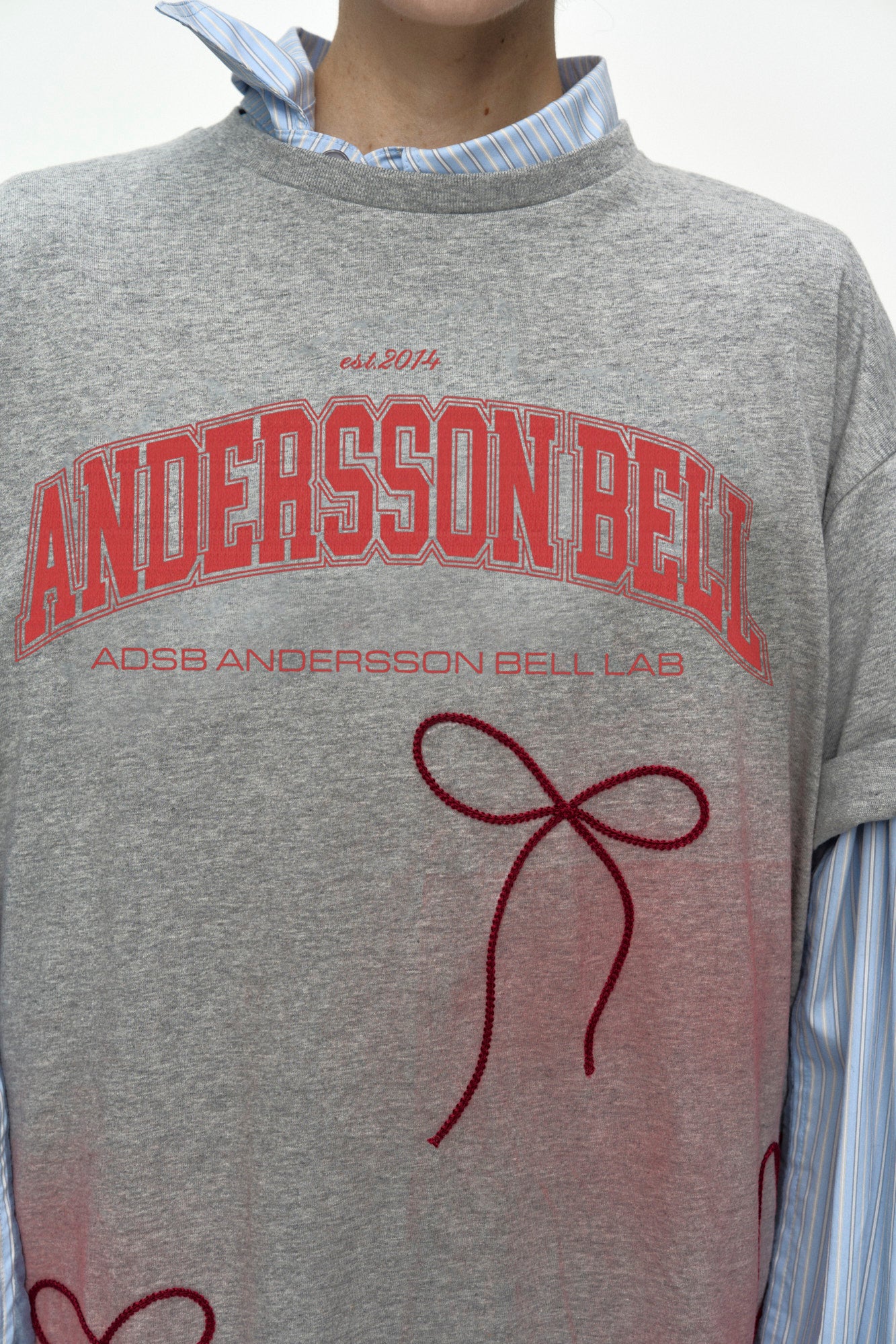 Andersson Bell - Ribbon Embroidery Spray T-Shirt (Melange Grey) product image 6 | TRAB K-Fashion Australia