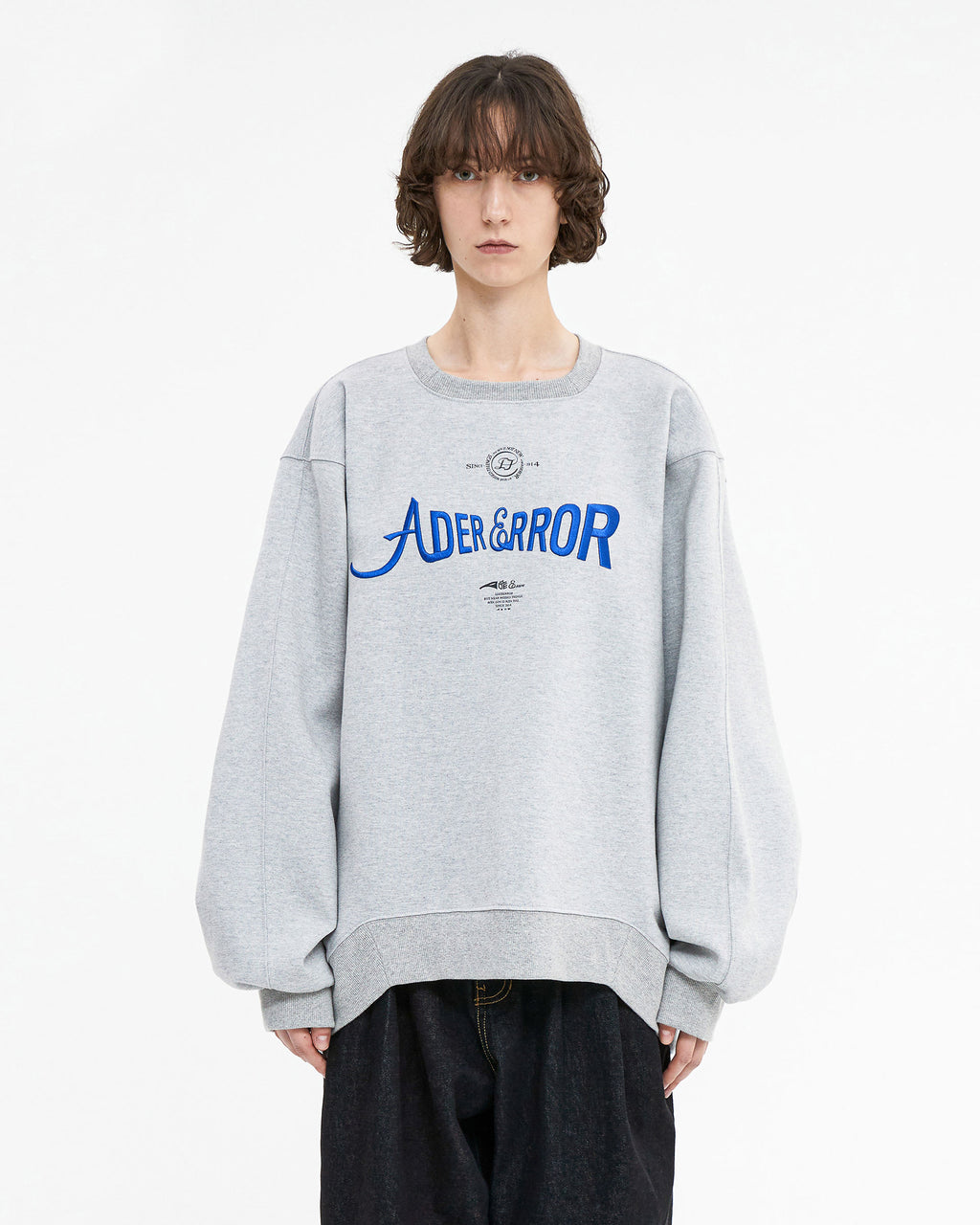Ader Error - Verif logo sweatshirt (Grey) product image 2 | TRAB K-Fashion Australia