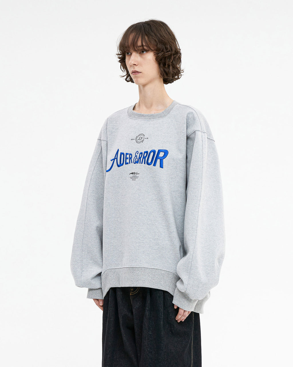Ader Error - Verif logo sweatshirt (Grey) product image 3 | TRAB K-Fashion Australia