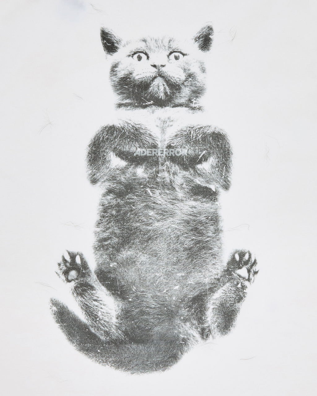 Ader Error - Blue cat t-shirt 02 (Off White) product image 9 | TRAB K-Fashion Australia
