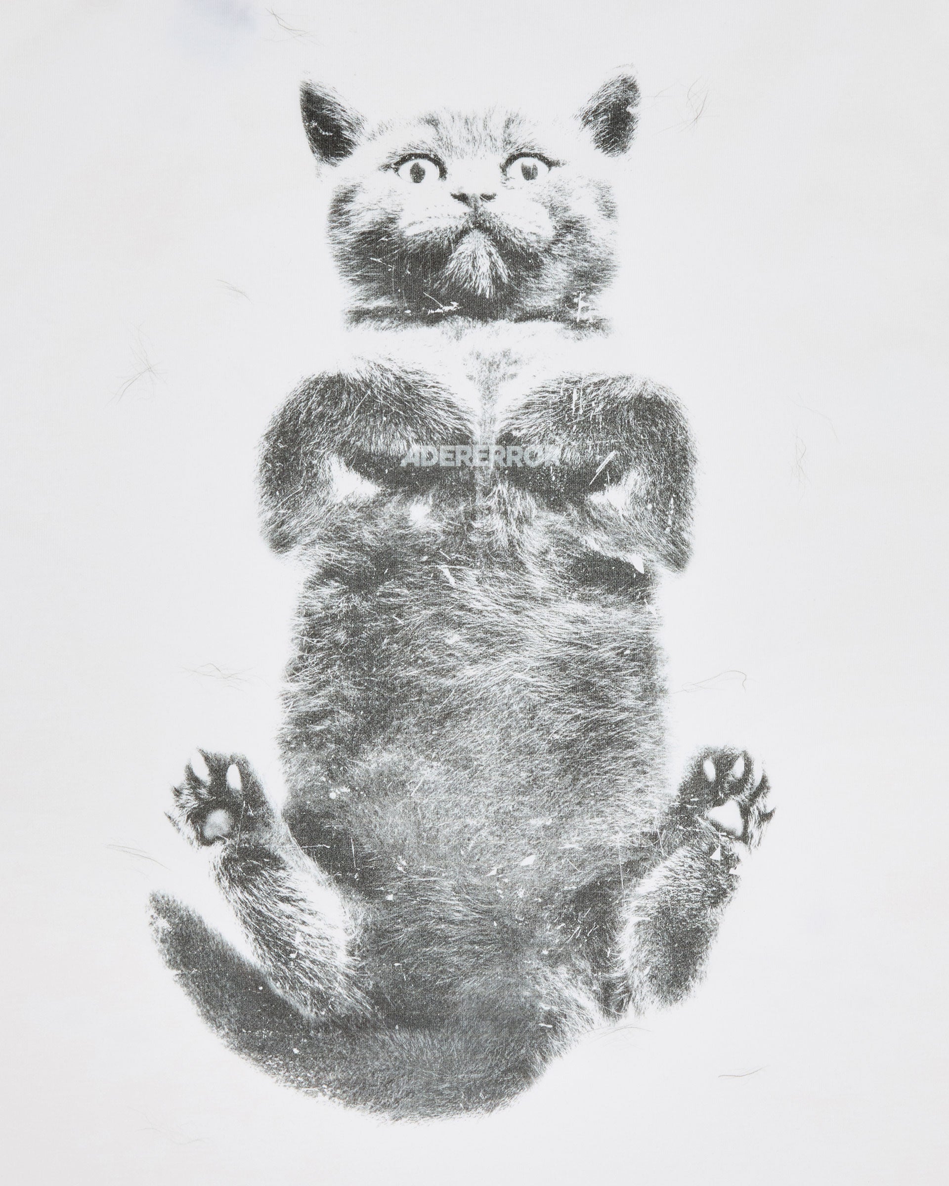 Ader Error - Blue cat t-shirt 02 (Off White) product image 9 | TRAB K-Fashion Australia