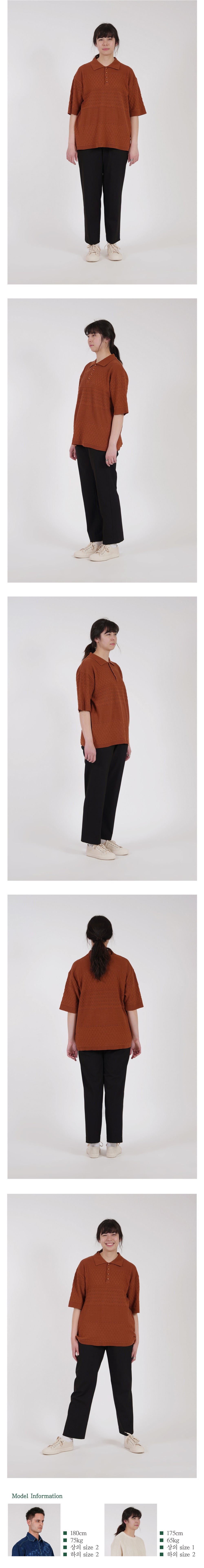 Ioedle - Mesh Short Sleeve Collared Knit (Brown) product image 10 | TRAB K-Fashion Australia