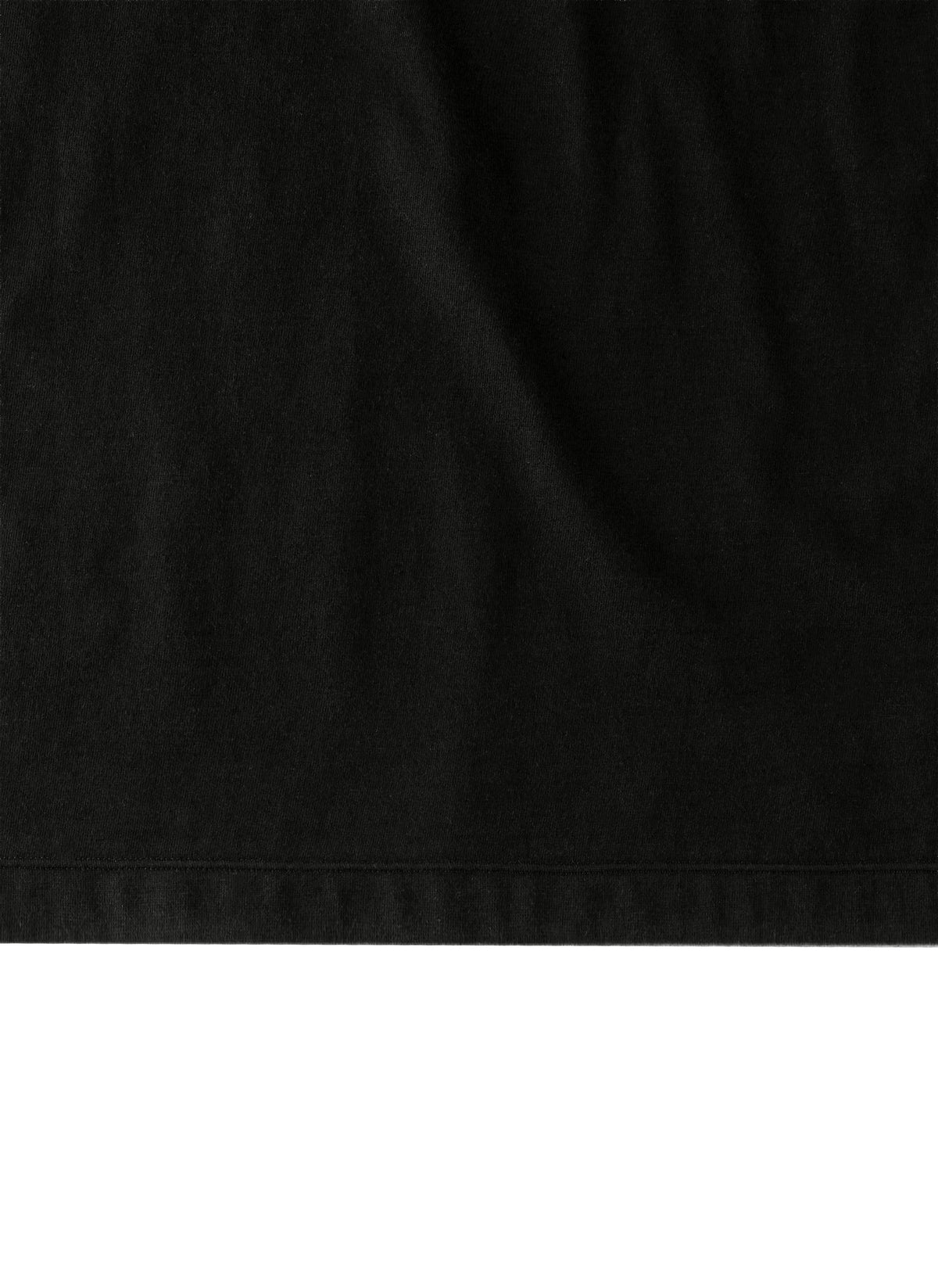 Post Archive Faction - Longsleeve (Archive) (Black) product image 5 | TRAB K-Fashion Australia