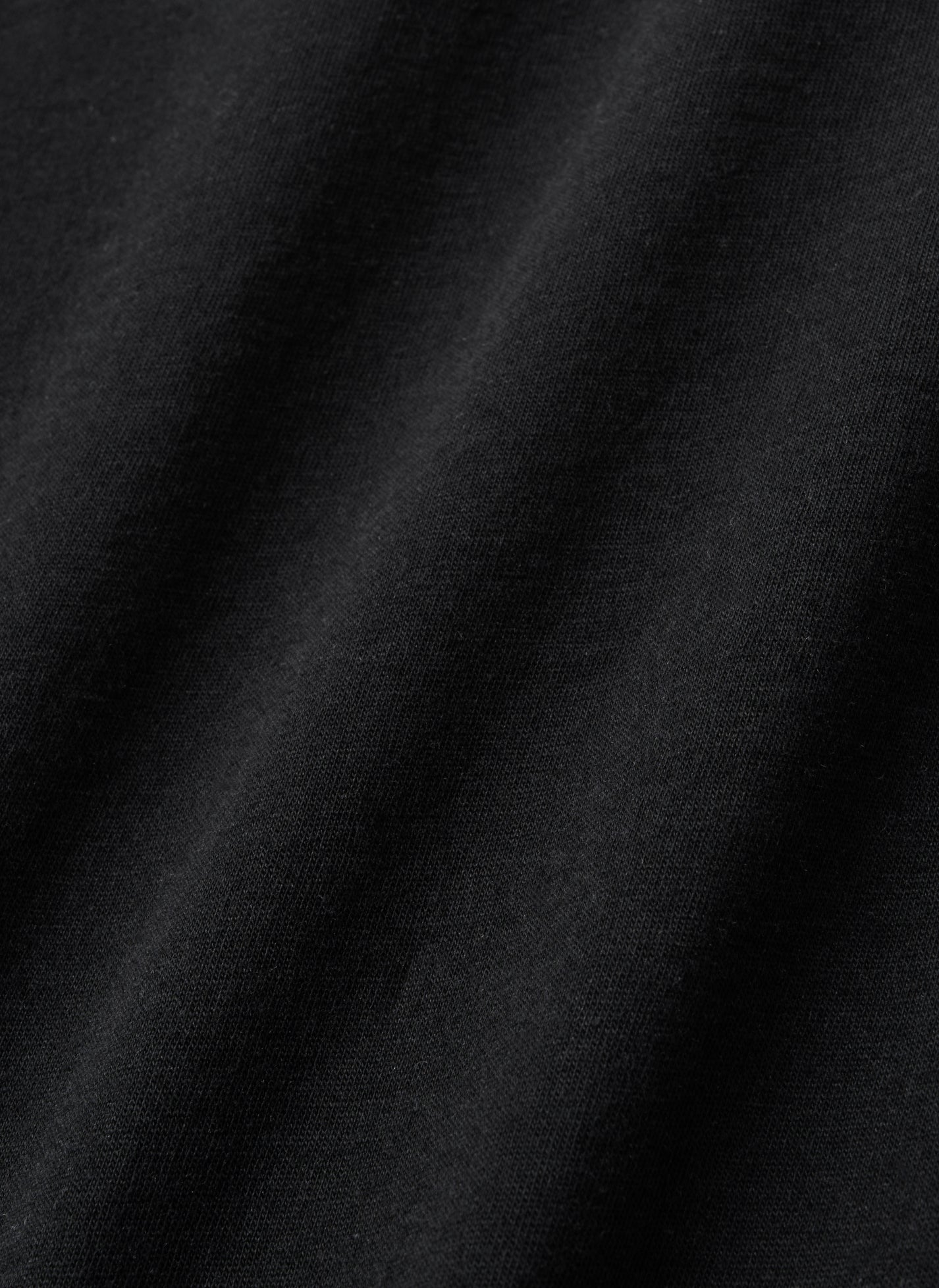 Post Archive Faction - Longsleeves (Archive) (Black) product image 6 | TRAB K-Fashion Australia