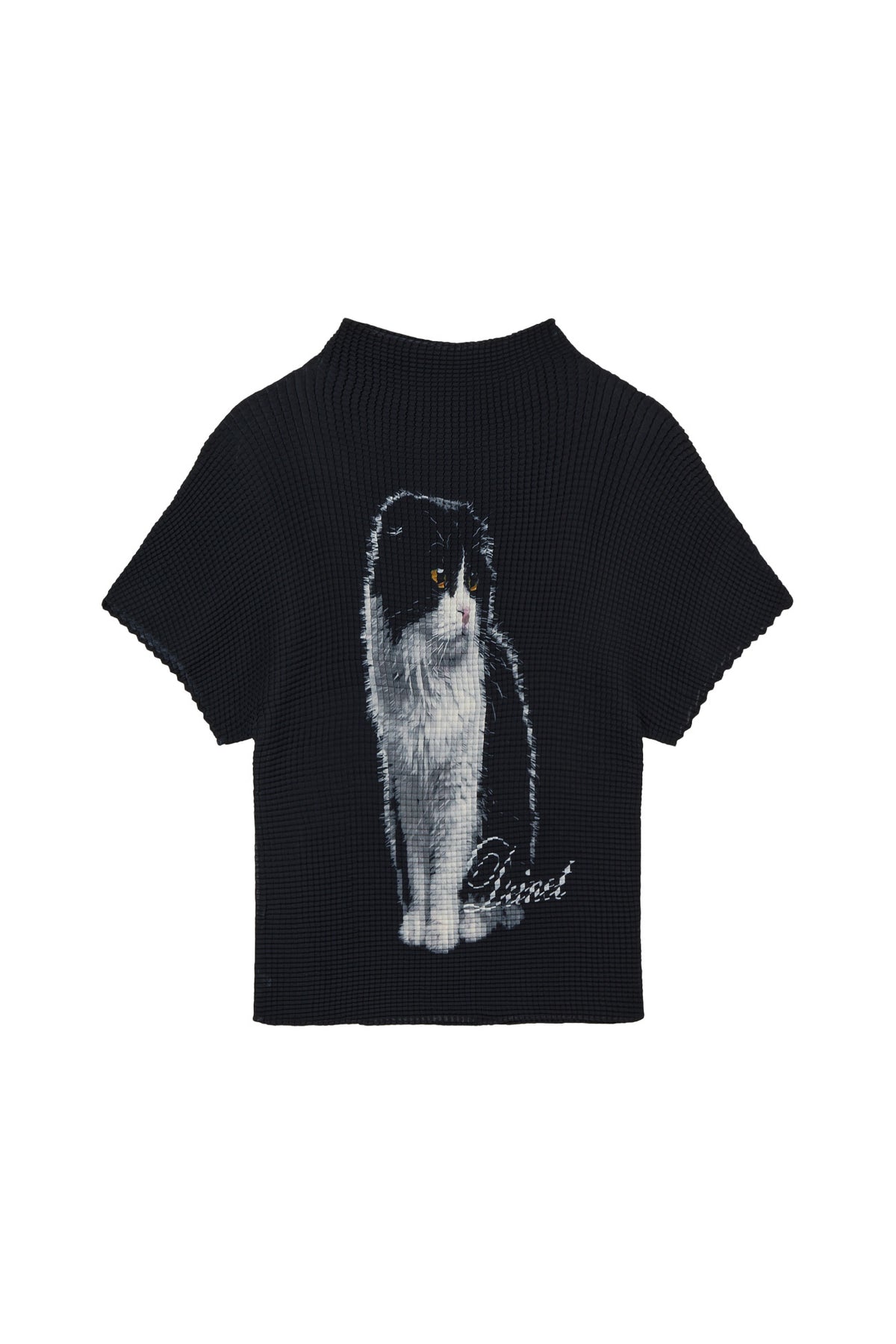 Deinet - Pleated Graphic T-Shirt (Black) product image 2 | TRAB K-Fashion Australia