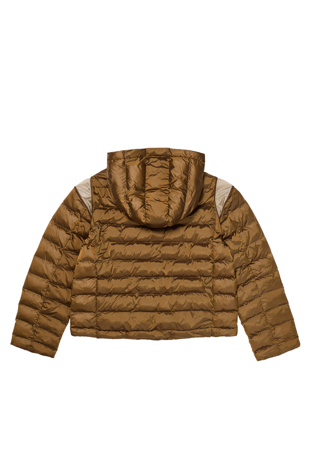 Deinet - Point Wellon Hooded Jacket (Dark Brown) product image 12 | TRAB K-Fashion Australia