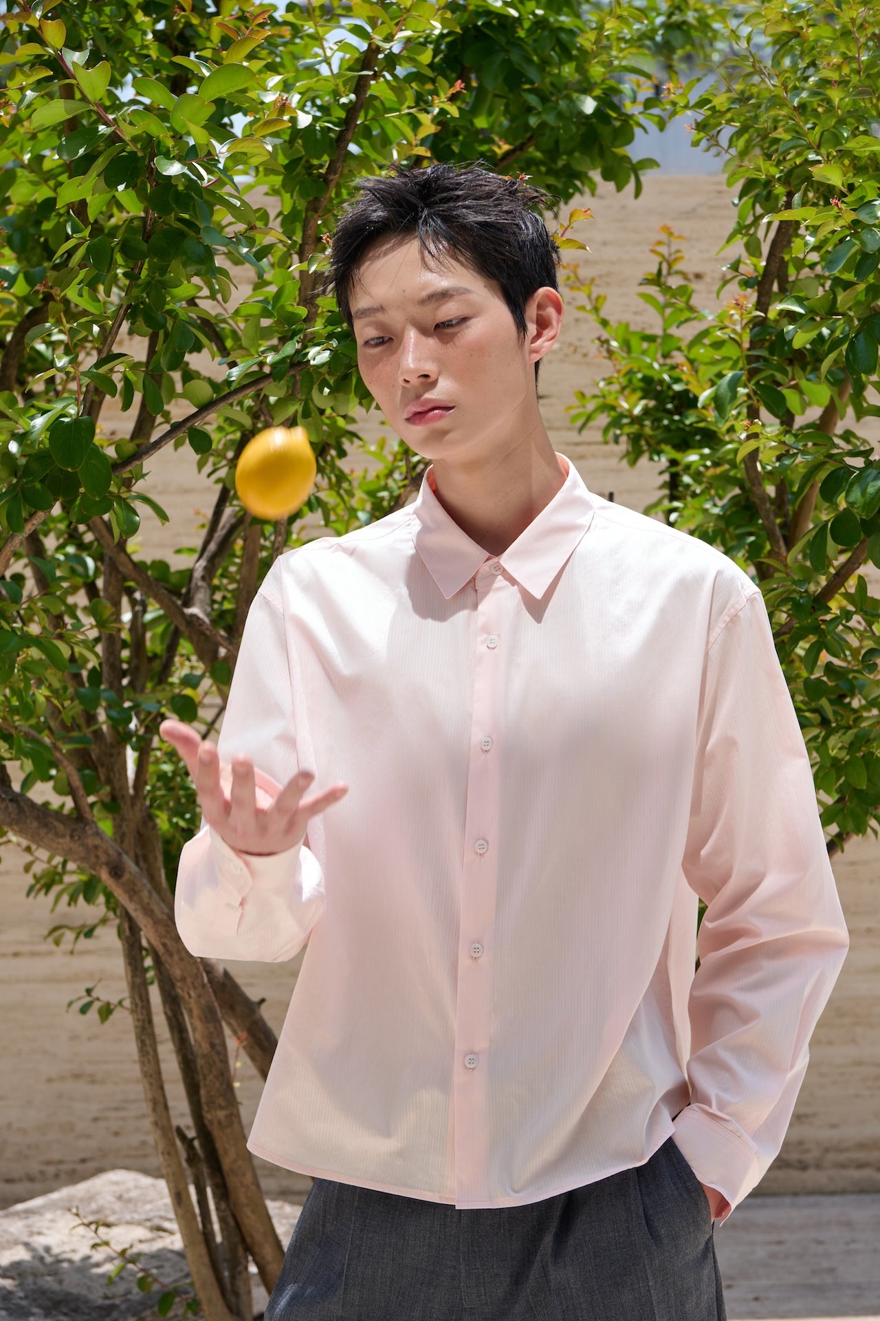 STU - Stripe Crop Shirt (Pink) product image 12 | TRAB K-Fashion Australia