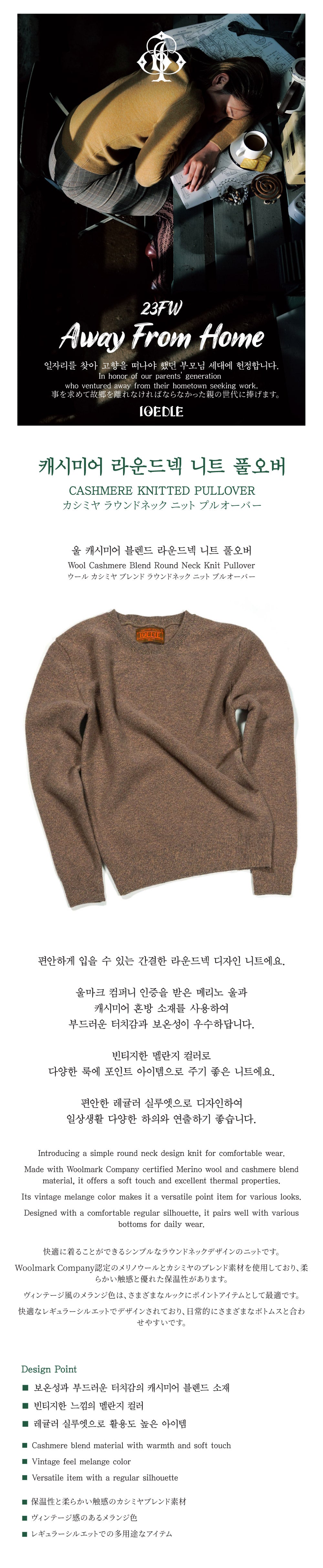 Ioedle - Cashmere Round Neck Knit Pullover (Brown) product image 6 | TRAB K-Fashion Australia