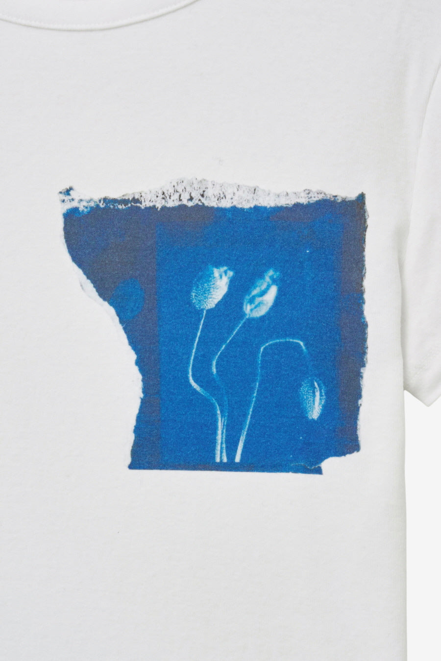 Insilence - Cyanotype Baby T-shirt (White) product image 11 | TRAB K-Fashion Australia