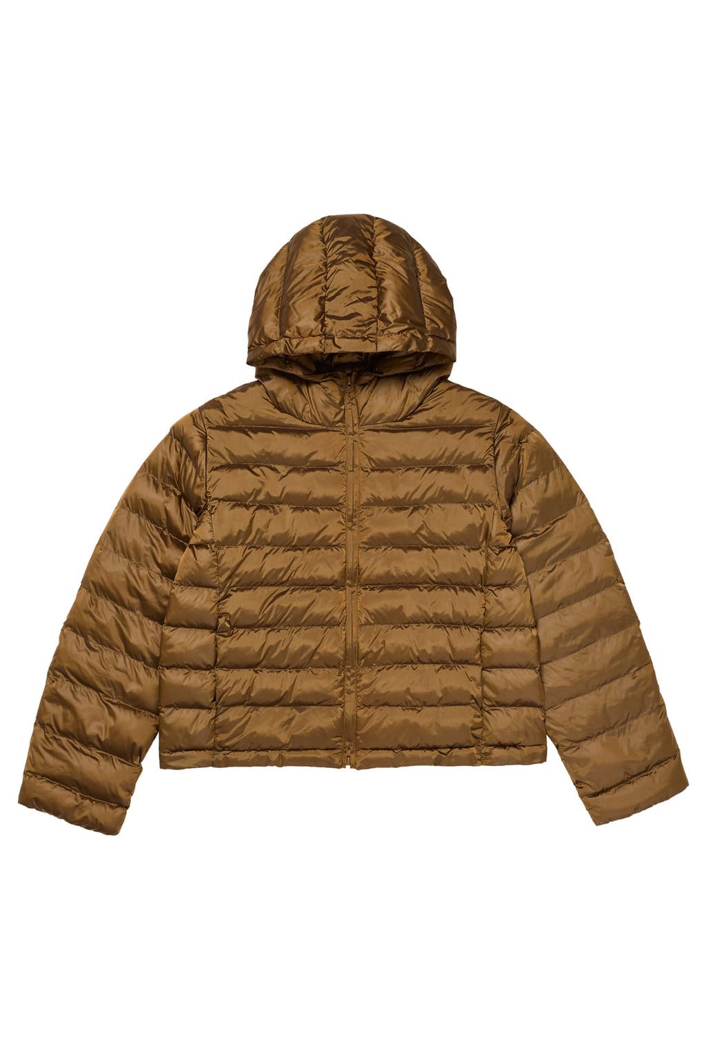 Deinet - Point Wellon Hooded Jacket (Dark Brown) product image 13 | TRAB K-Fashion Australia