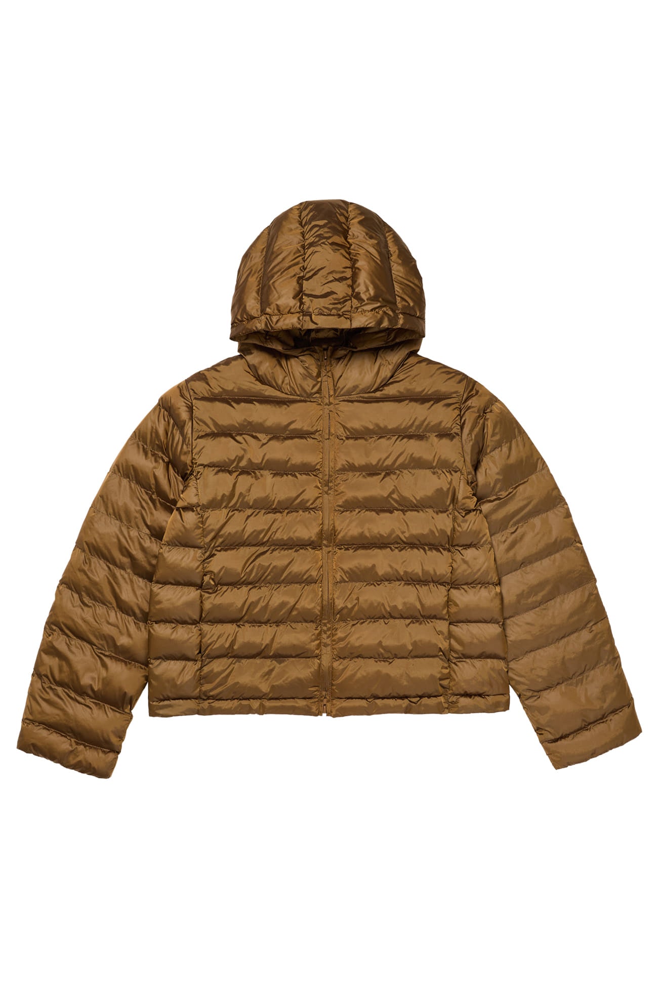 Deinet - Point Wellon Hooded Jacket (Dark Brown) product image 13 | TRAB K-Fashion Australia