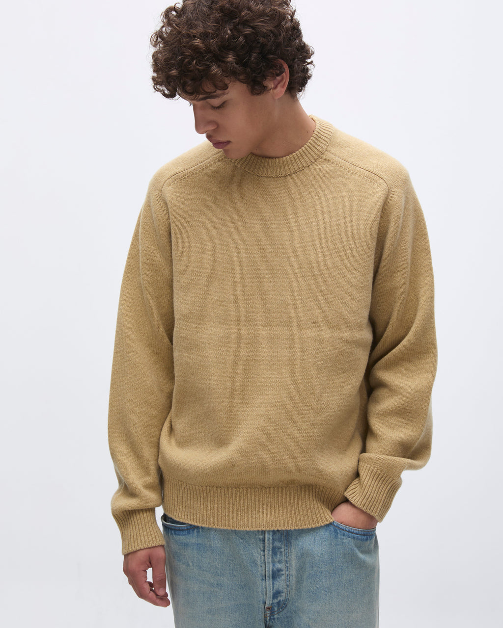 Khakis - Stock Crewneck Sweater (Camel) product image 6 | TRAB K-Fashion Australia